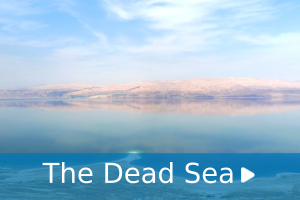 The dead sea audio guide tour-man